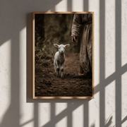 La Piccola Anima Bianca